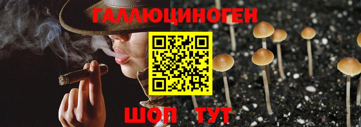 Псилоцибиновые грибы Cubensis Электросталь
